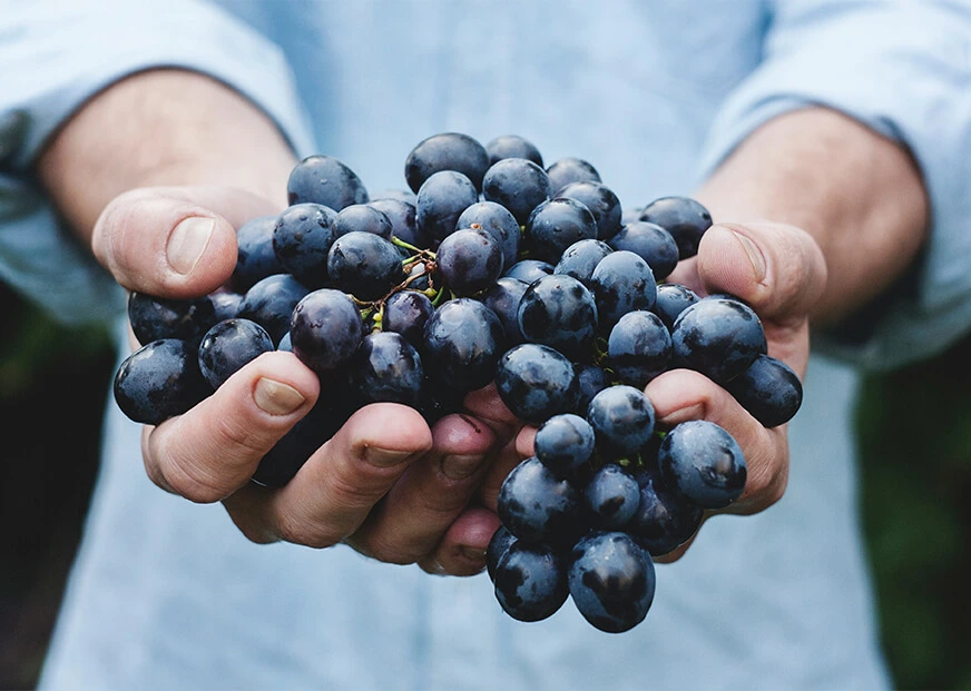 Top 6 Wines You Need To Try On Your Next Trip To Greece