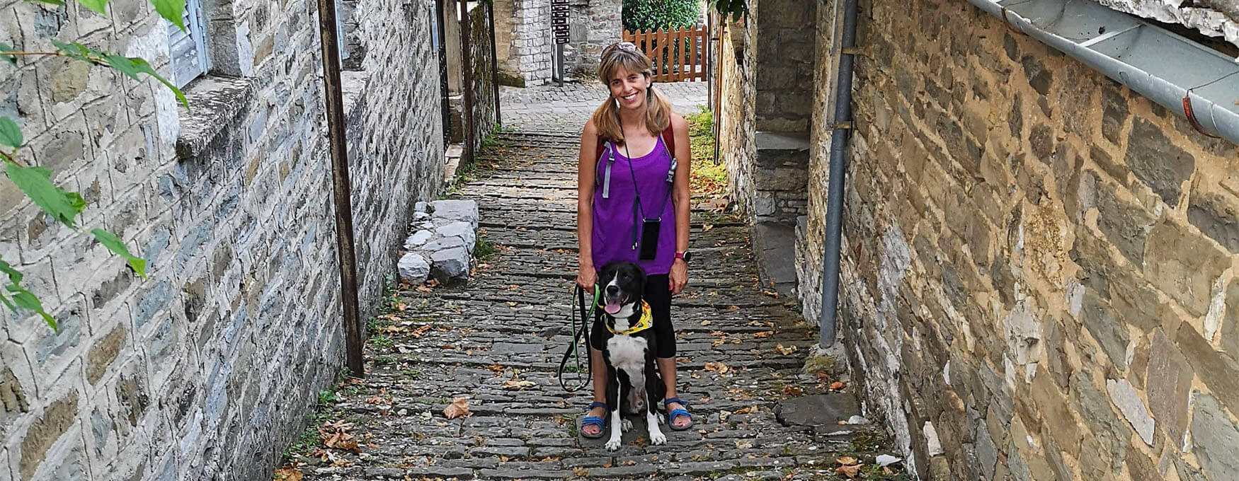 Excursions avec votre animal de compagnie