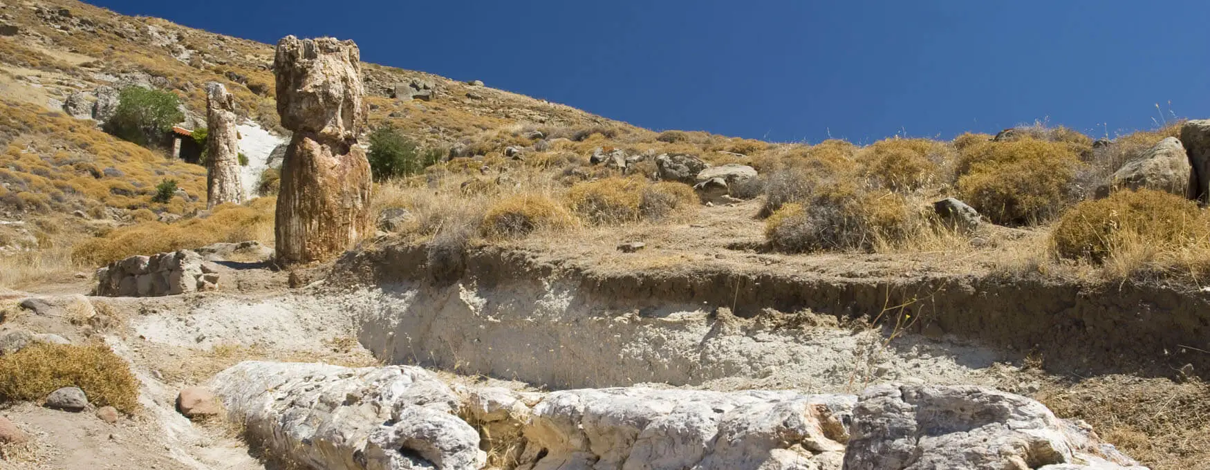 In the Lesvos Geopark. A Journey Through Land and Time
