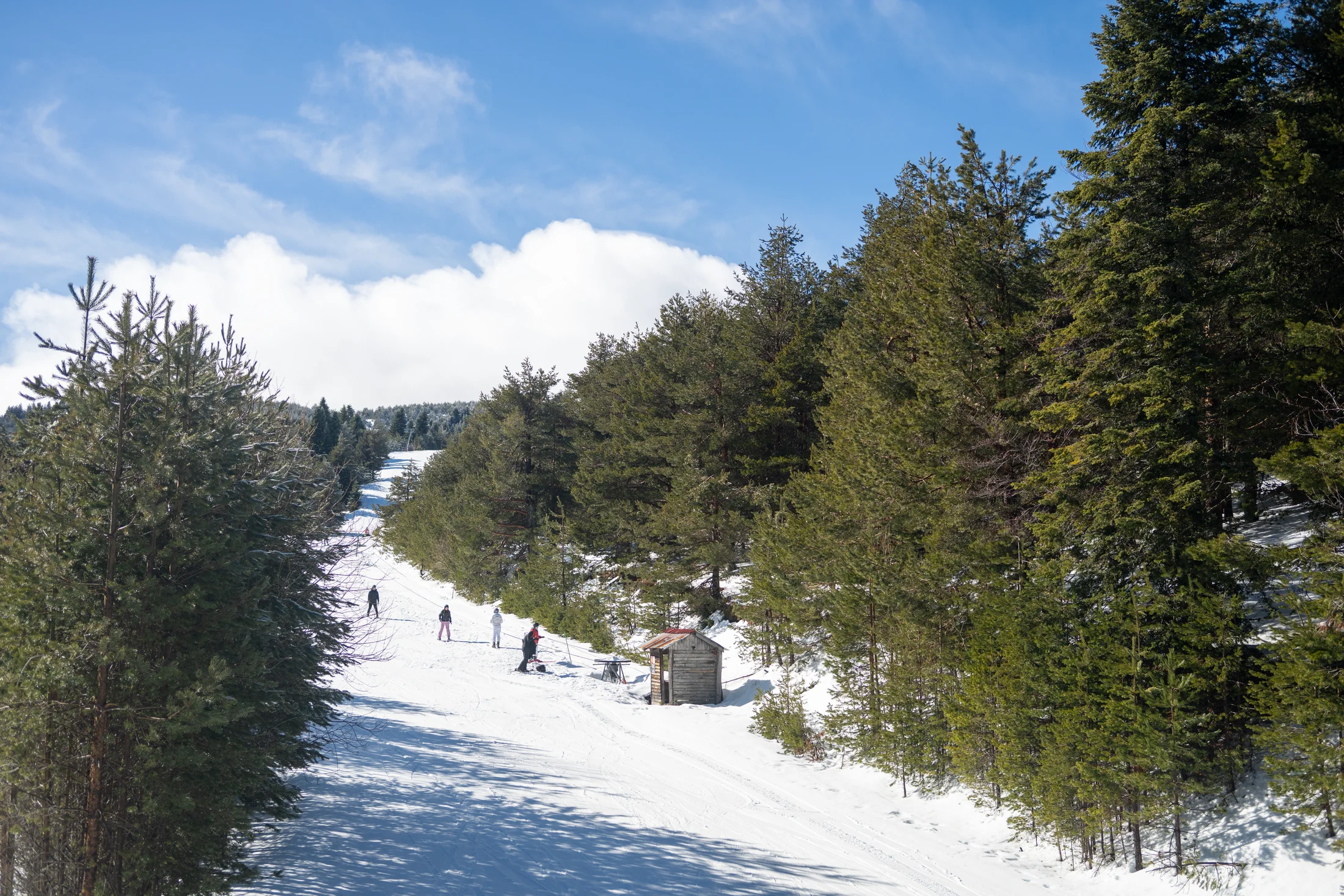 Climbing Mount Olympus. In the paths of gods and humans