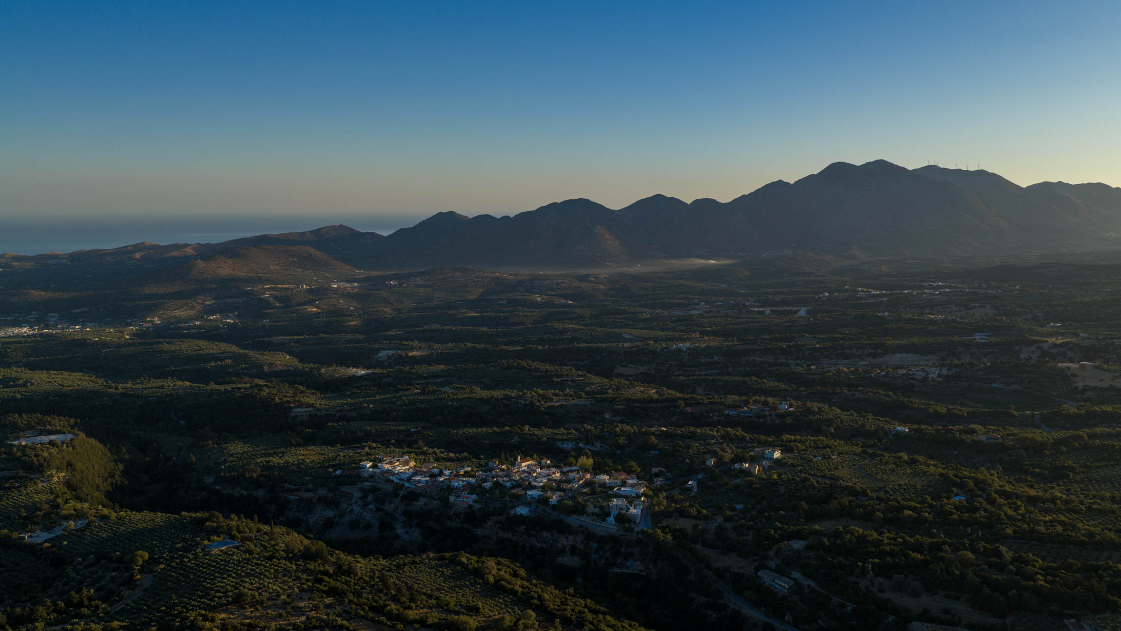 Dionysus: Wine and Celebration