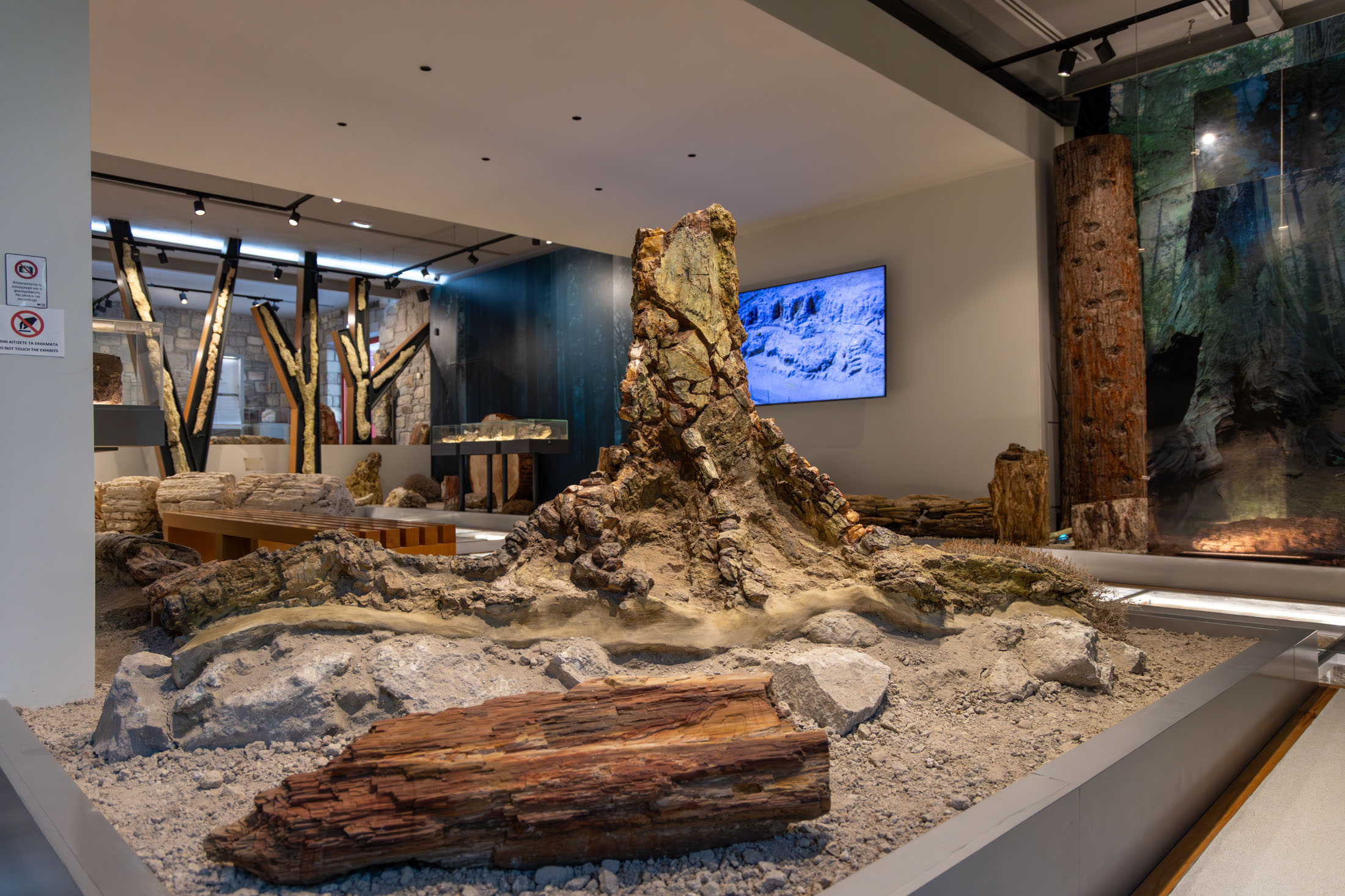 Lesvos Petrified Forest Natural History Museum